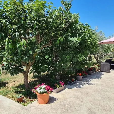 Fuer 5 Personen Ca 57 Qm In Peroj, Istrien Istrische Riviera Apartment